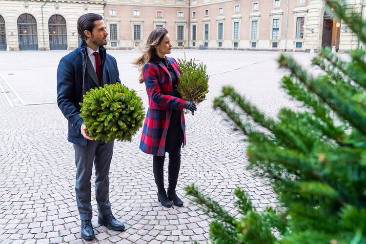 Árboles de Navidad del Príncipe Carl Philip y la Princesa Sofía para el Palacio Real