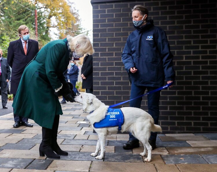 La duquesa de Cornualles visita la casa de Battersea Dogs