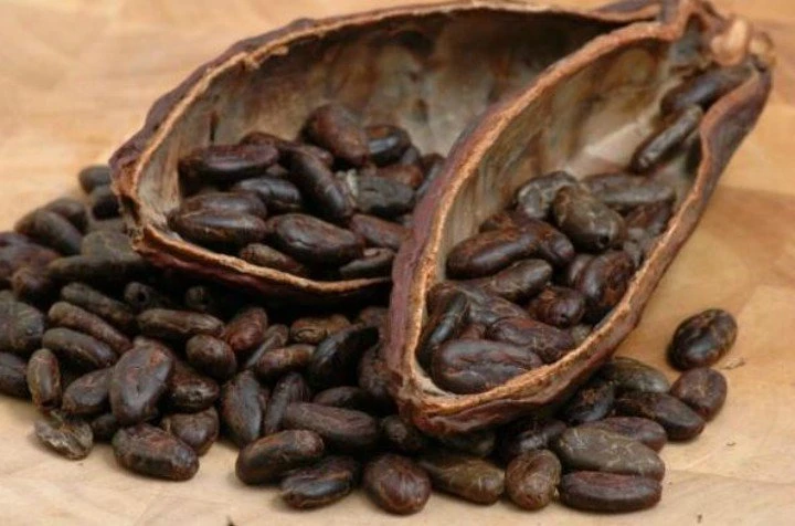 Descubre los poderes de cacao negro