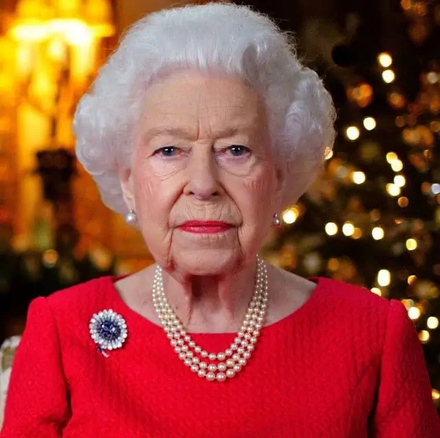 Para el discurso de Navidad, la Reina usó un vestido rojo de la diseñadora británica Angela Kelly y un broche de crisantemo de zafiro que ha usado muchas veces en el pasado cuando ha compartido momentos felices con el Príncipe Felipe. El broche, que cuenta con zafiros y diamantes engastados en platino para formar un diseño de crisantemo, ha estado en la colección de la reina  durante décadas.