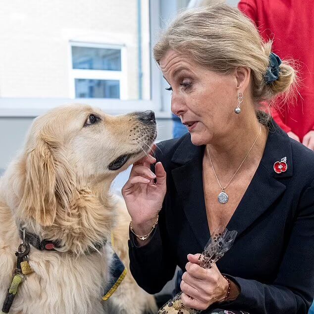 La duquesa de Edimburgo visita un centro de adiestramiento de perros guia 3 - La Duquesa de Edimburgo refuerza su compromiso con el entrenamiento de perros guía en el centro de Reading